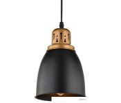  Arte Lamp Eurica A4248SP-1BK