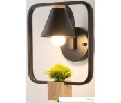  Home Light  B149-5-B ()