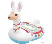   Intex Cute Llama 57564NP