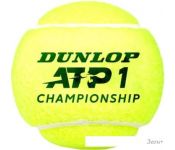  Dunlop ATP Championship (4 )