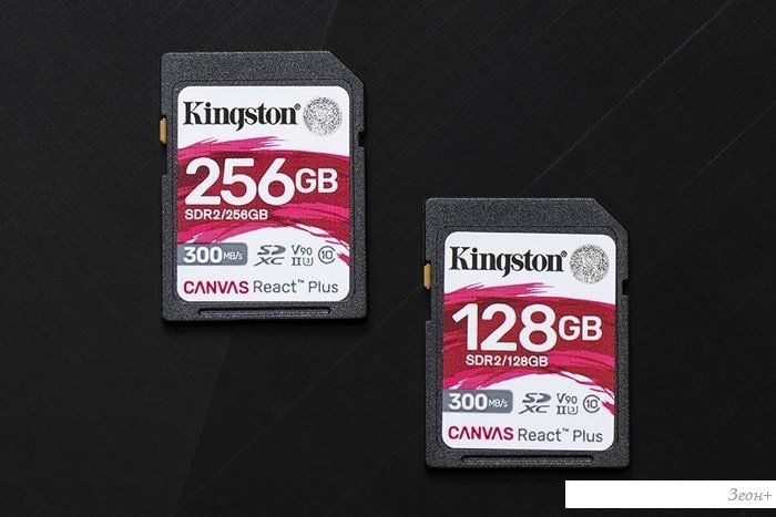 Карта памяти sdxc kingston canvas go plus 128 гб sdg3 128gb