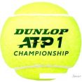  Dunlop ATP Championship (3 )