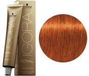 Schwarzkopf Professional Igora Royal Absolutes 7-70 60