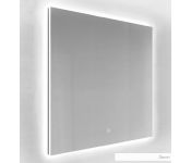     Silver Mirrors   100x80 -00002158