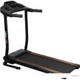    Carbon Fitness T306