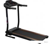    Carbon Fitness T306