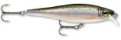    Rapala BX Minnow / BXM07-RT