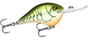    Rapala Dives-To / DT16-RTBC