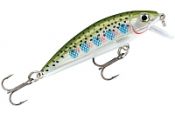    Rapala X-Rap Countdown / XRCD05-RT