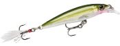    Rapala X-Rap / XR10-G